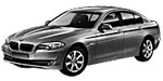 BMW F10 P1A1F Fault Code